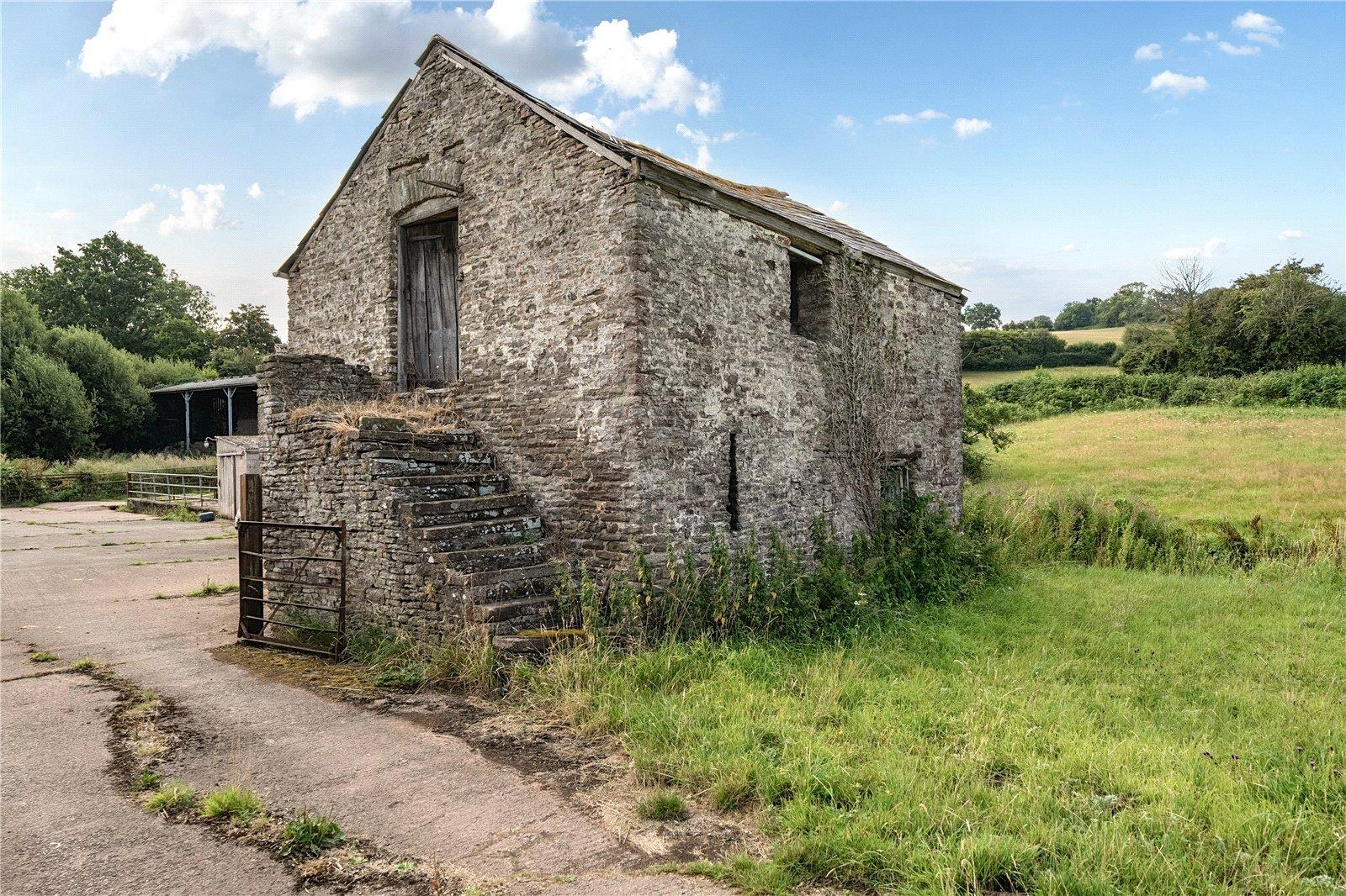Image 16