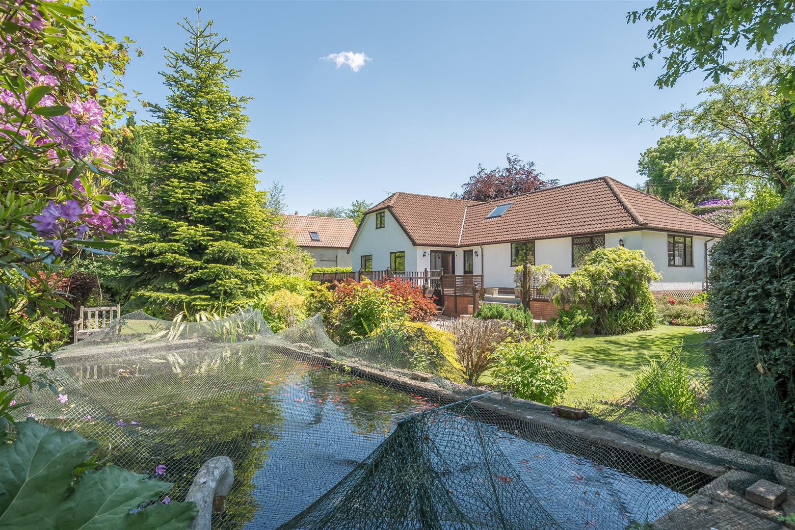 Property Image 52c7062b-7b7c-4997-bede-35a4fe20a3c5
