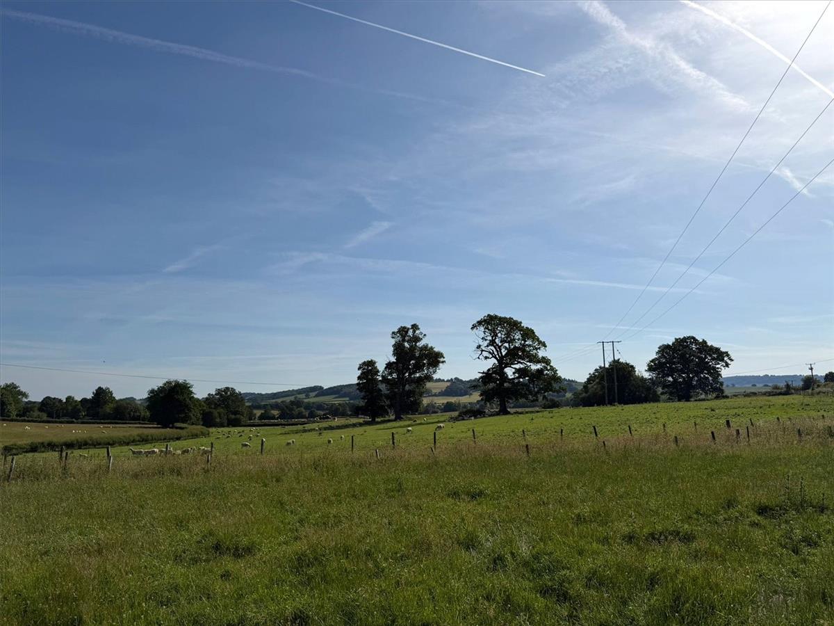Property Image 52de47e7-6ca3-4322-93b7-f313a85b5311