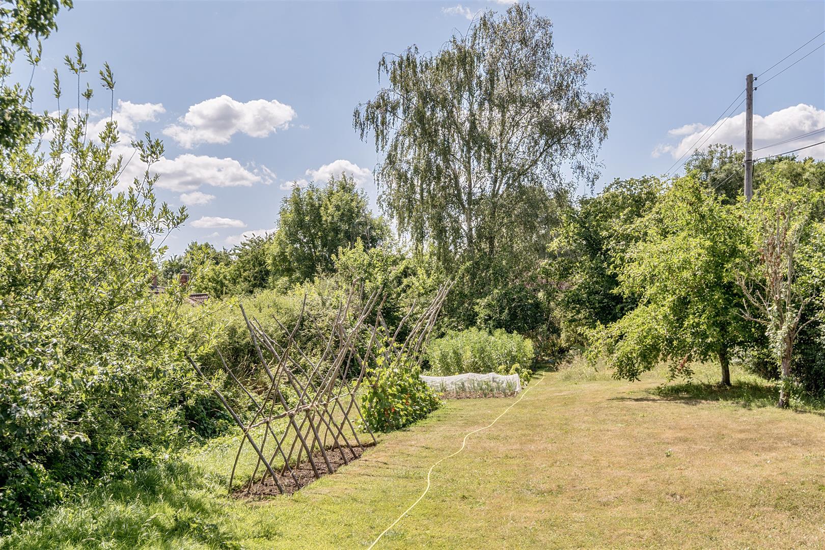 Property Image 52ea24b0-1ae2-47c1-96ed-1d36dd41ec51