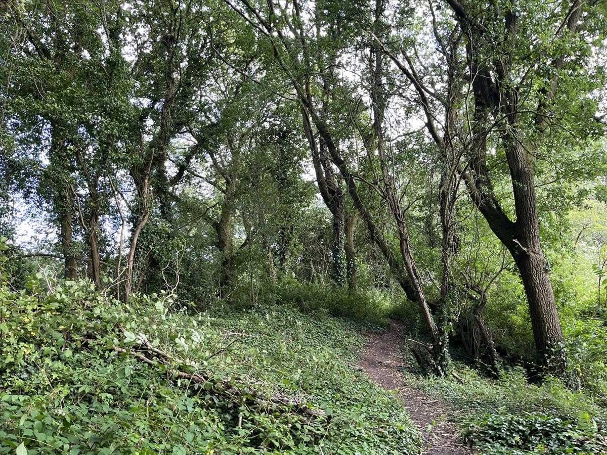Property Image 52f39d18-e232-456f-93fa-394d611f0e62