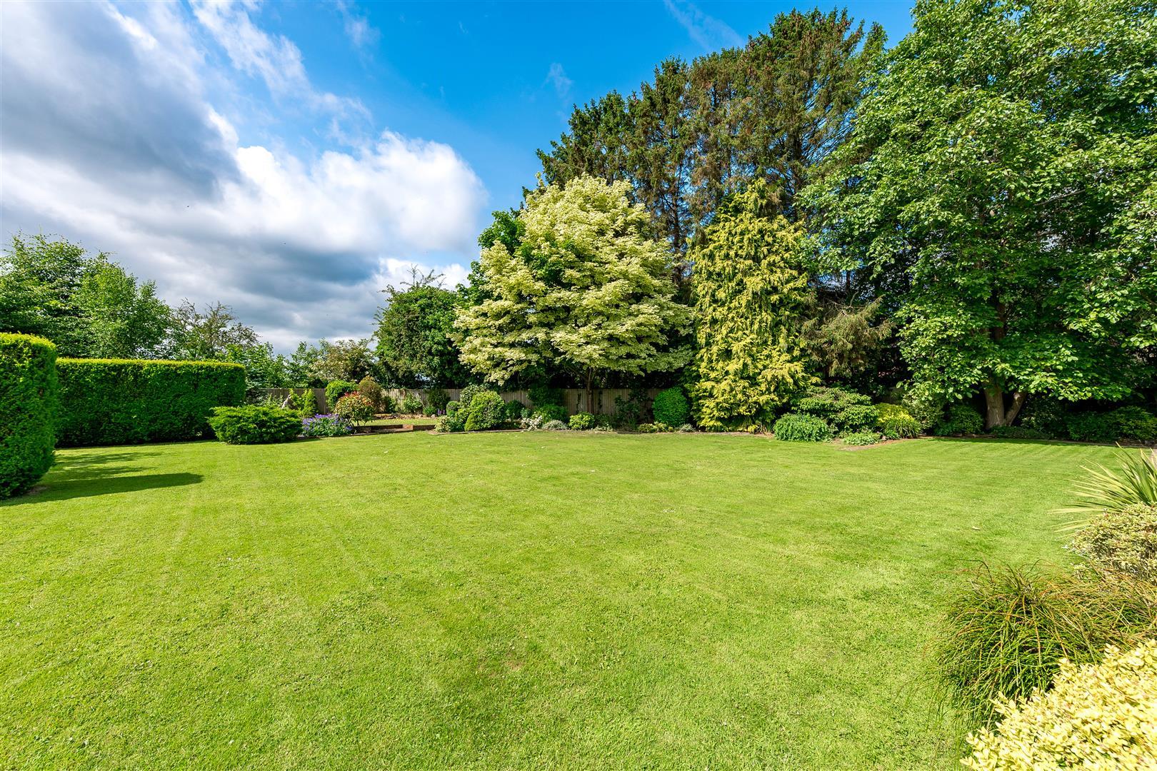 Property Image 52ff3e30-1684-440a-ad7d-cd9bc71624c2