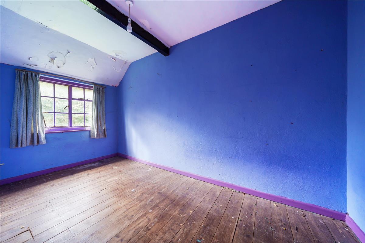Property Image 5317e2c0-597d-4e26-b5bc-97e057e3635d