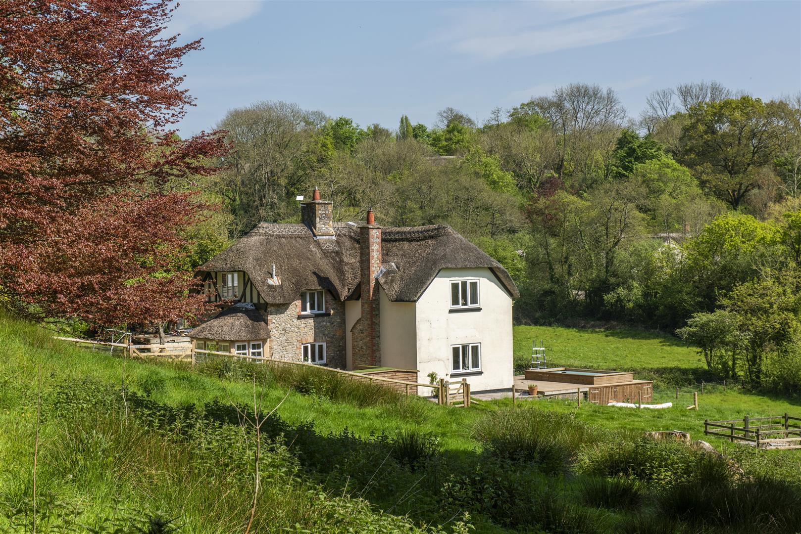 Image 28