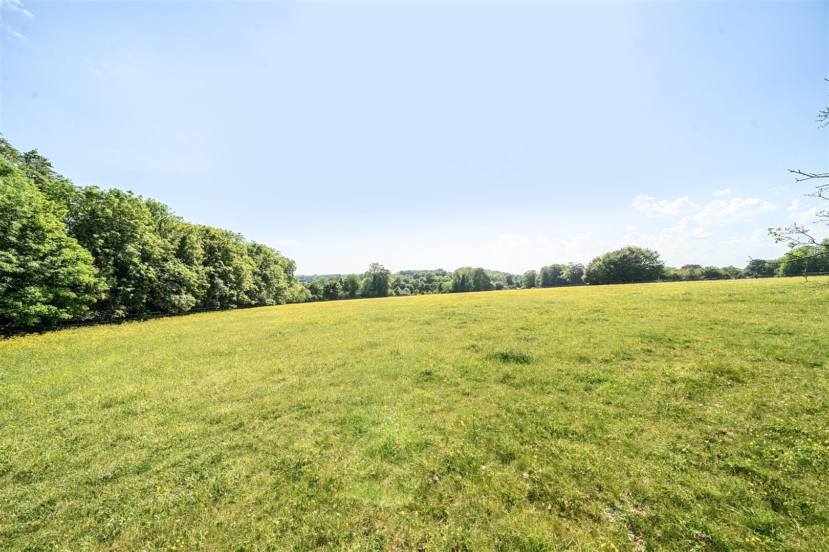 Property Image 5333710a-1436-4517-828d-3d9e1135680c