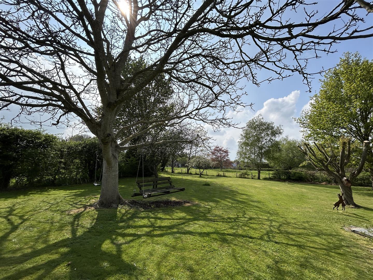 Property Image 536bbecc-5705-47ef-8b5e-490673fa6860
