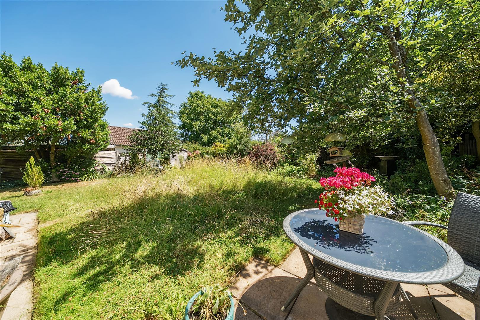 Property Image 5392d47e-1b2f-4fdc-81fe-d192bce1c477