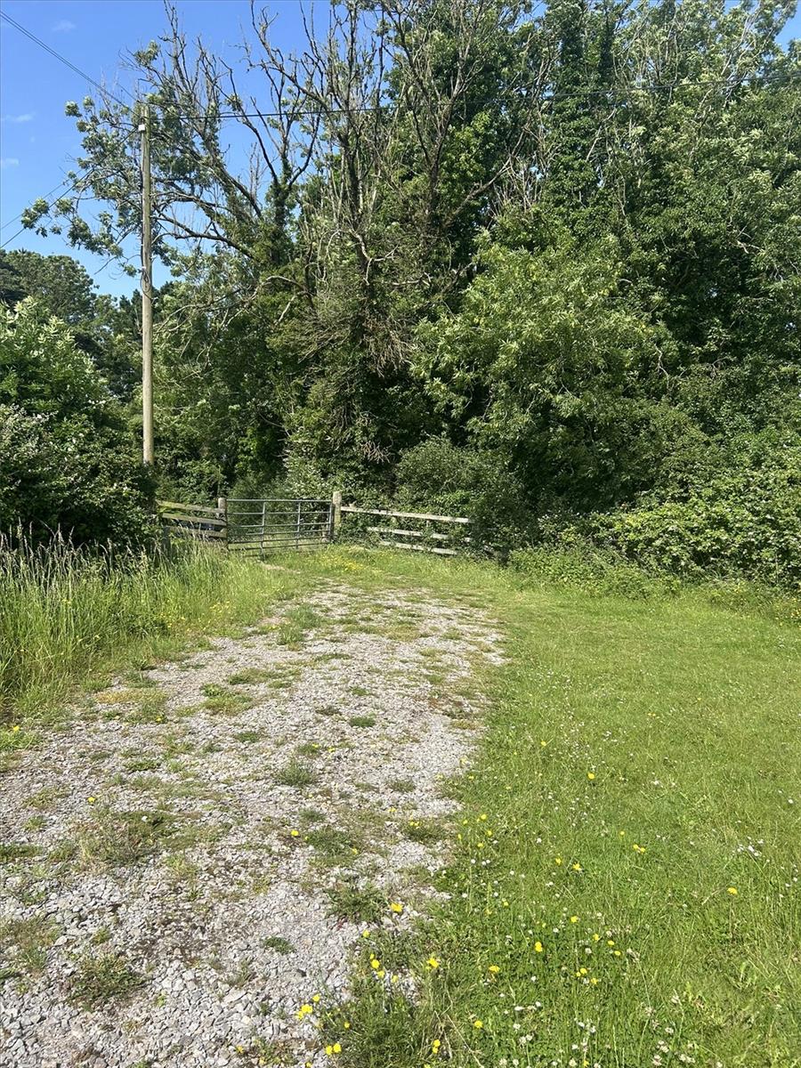 Property Image 5394bfbf-6509-4cc3-9111-dcf305a3b62f