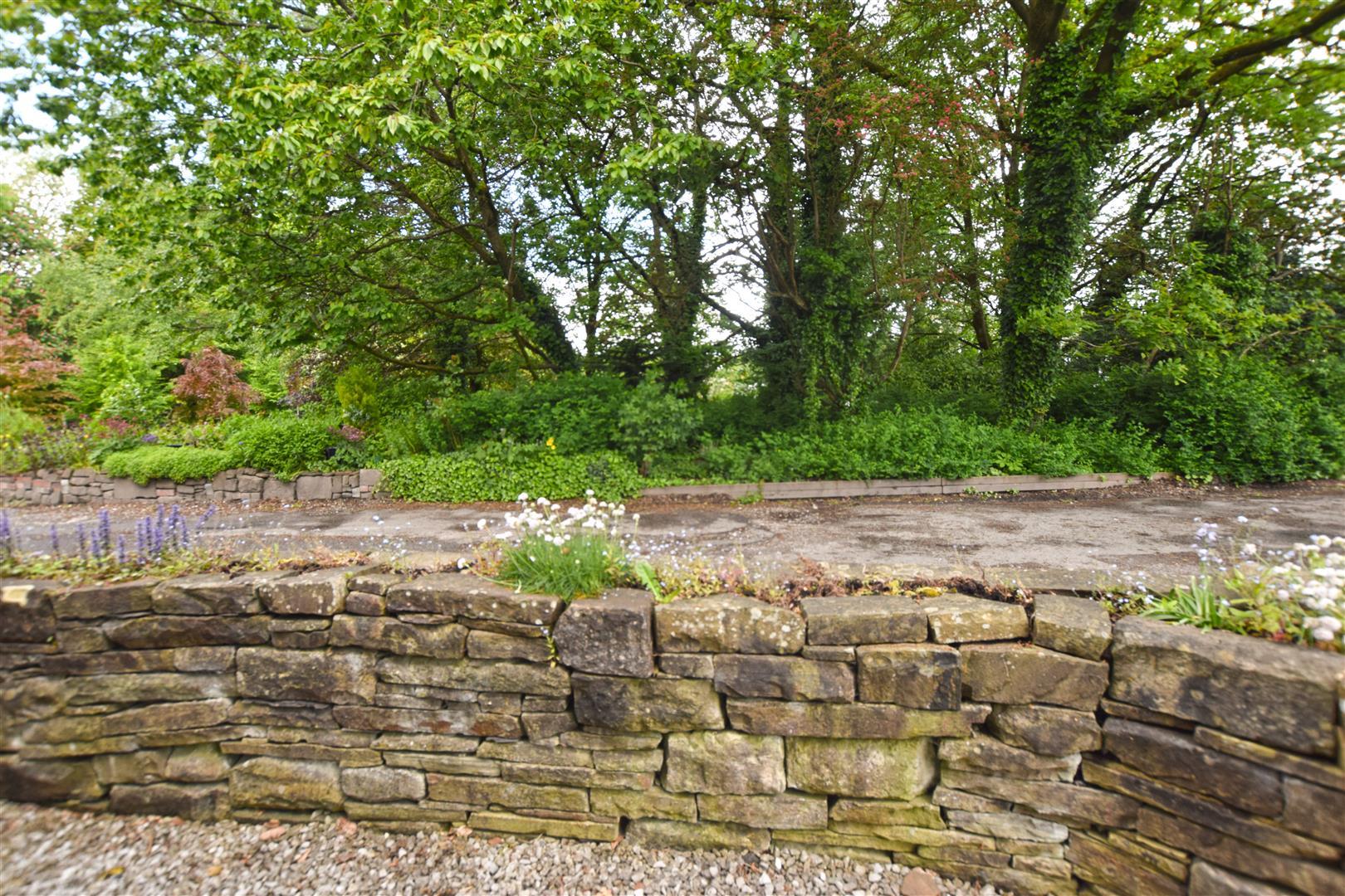 Image 20