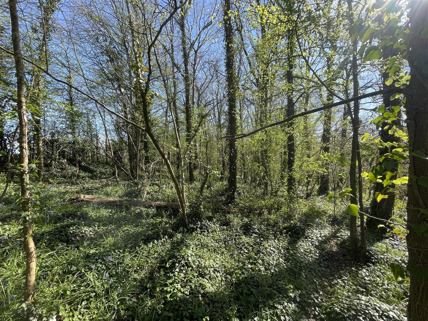 Property Image 539da166-db91-4c7c-849f-7eebdcaef281
