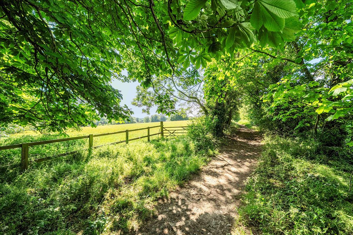 Footpath track and gate in Wiltshire