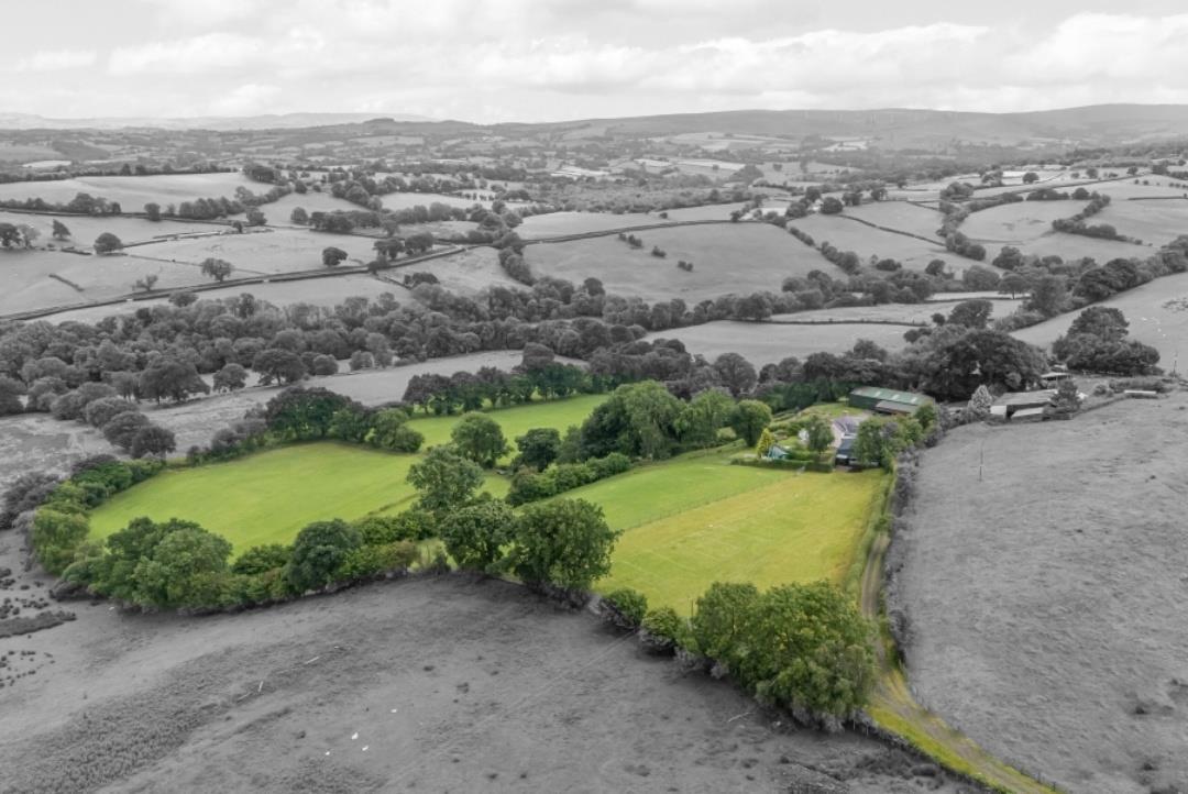 Property Image 53ac9799-6c38-4489-ac0b-47f77650b297