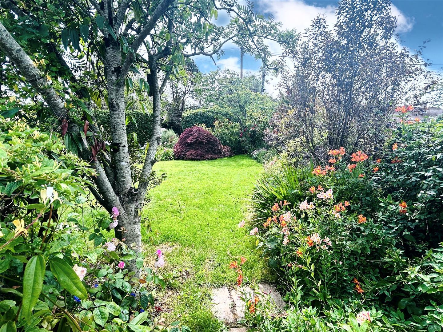 Property Image 53bb88e2-7e10-419d-83a0-6f2aae021462