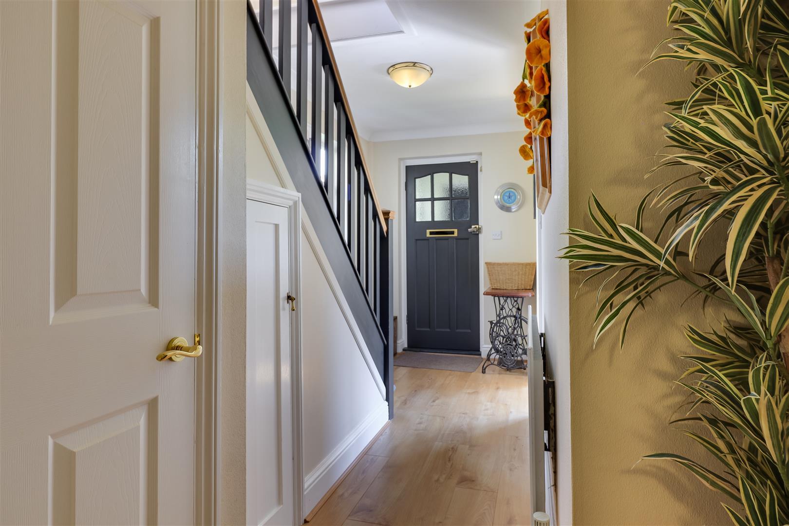 Property Image 53ecff66-0463-487c-8cc2-f0731a9463e2
