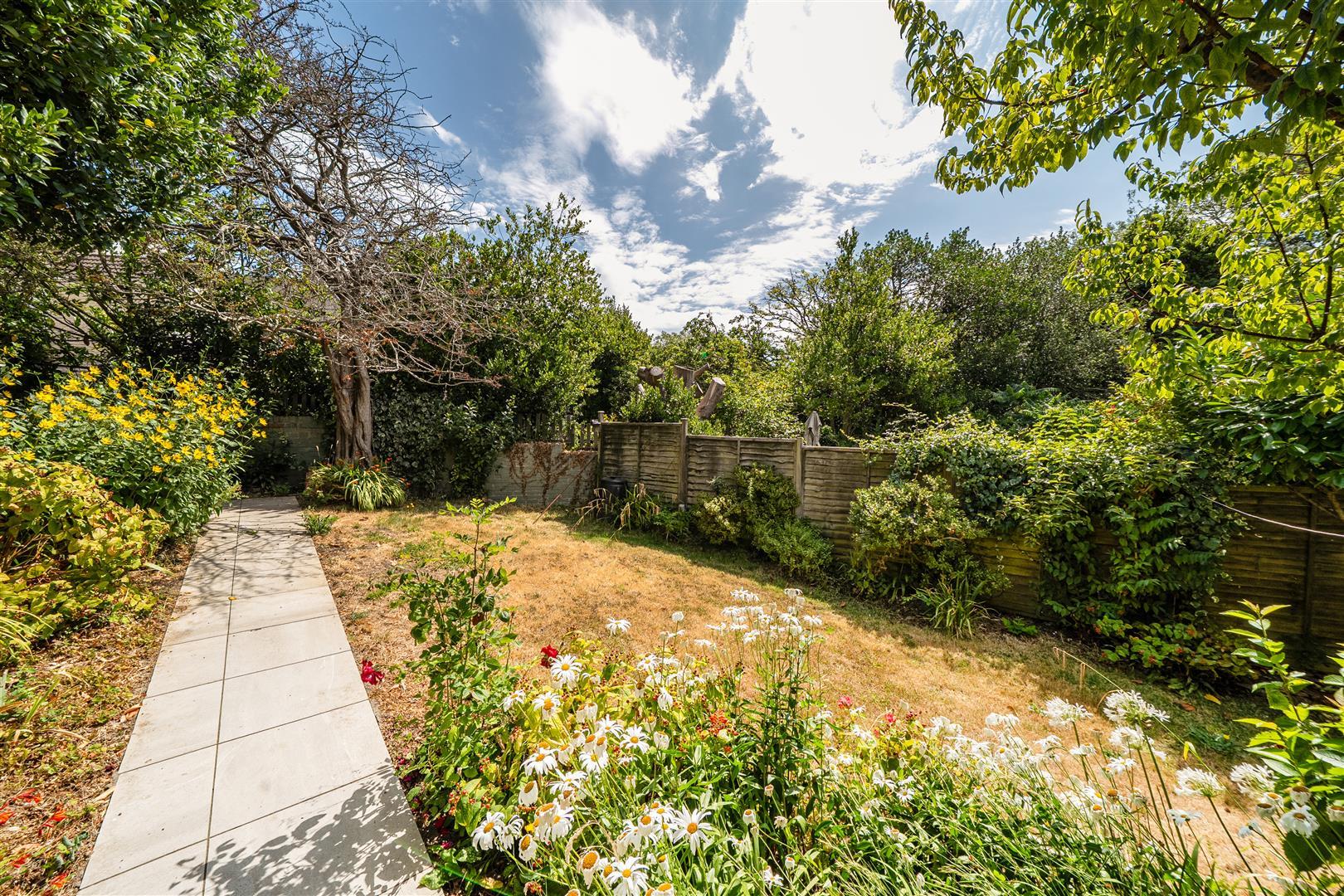 Property Image 53f73807-9022-4a67-9653-e12d0dc40d0d