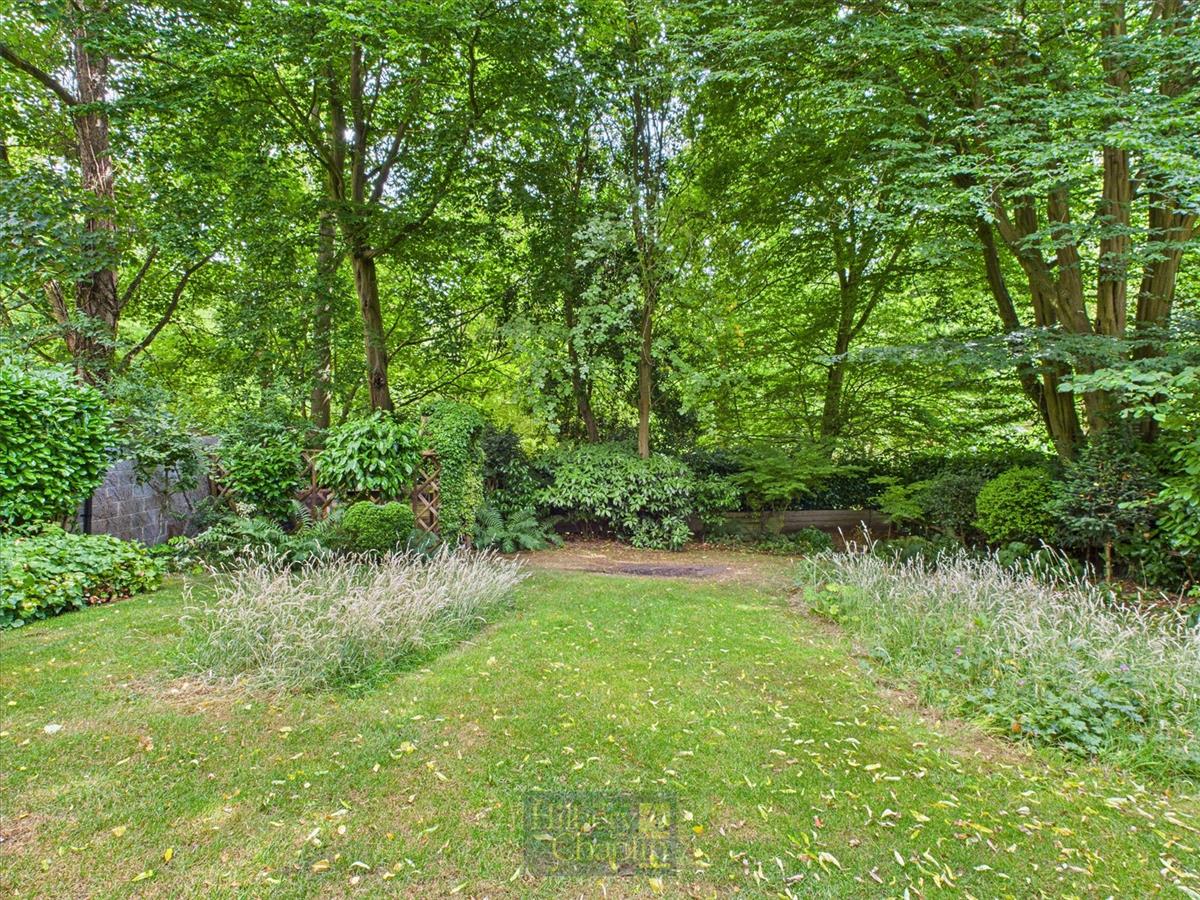 Property Image 53fc4f97-2a4a-464e-9e5b-0a408793d06f