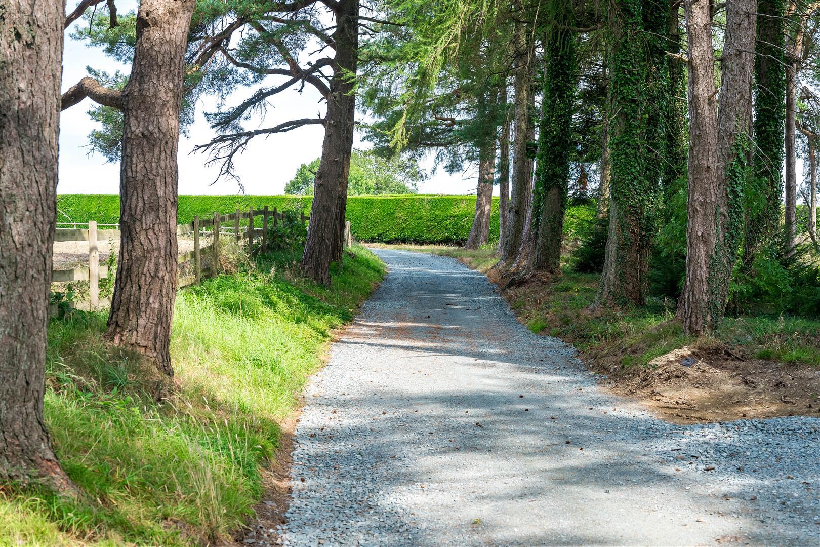 Property Image 540a16ed-8203-4d26-8e5d-c225e441e1b4