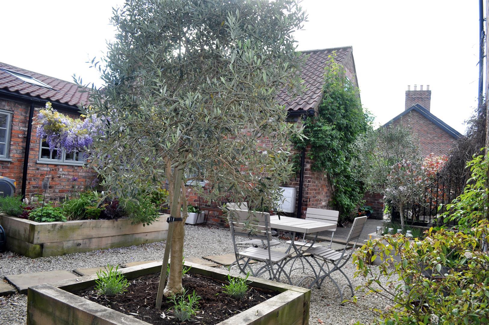 Image 24