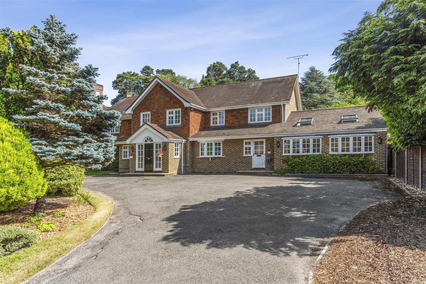 Property Image 5487c7dd-10d7-41cc-9511-8164043bd55d
