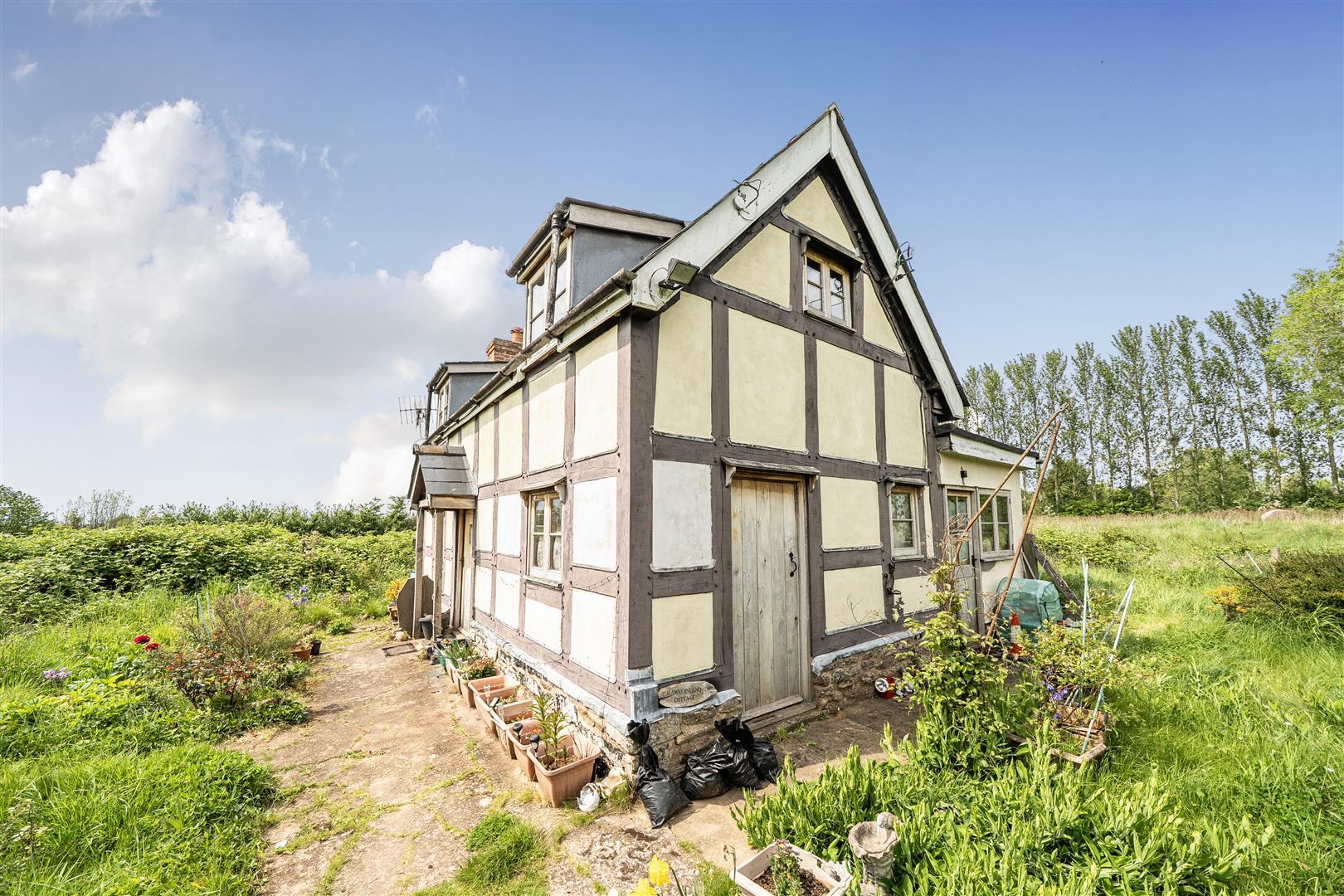 Property Image 54bb523b-0a64-48ca-b786-496a75aab07f