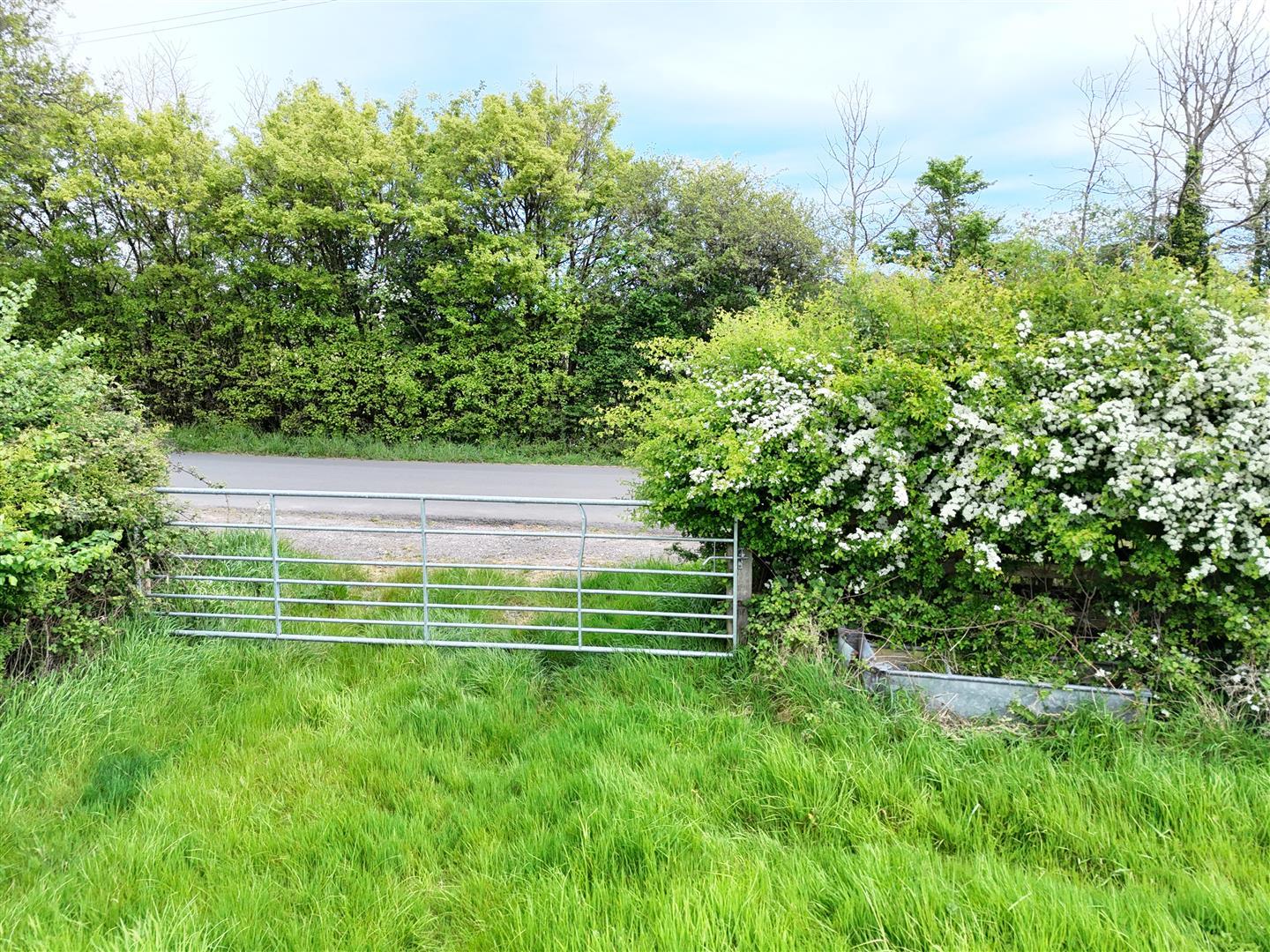 Property Image 54c8817c-3bdc-411b-8540-ff4322ac83a4
