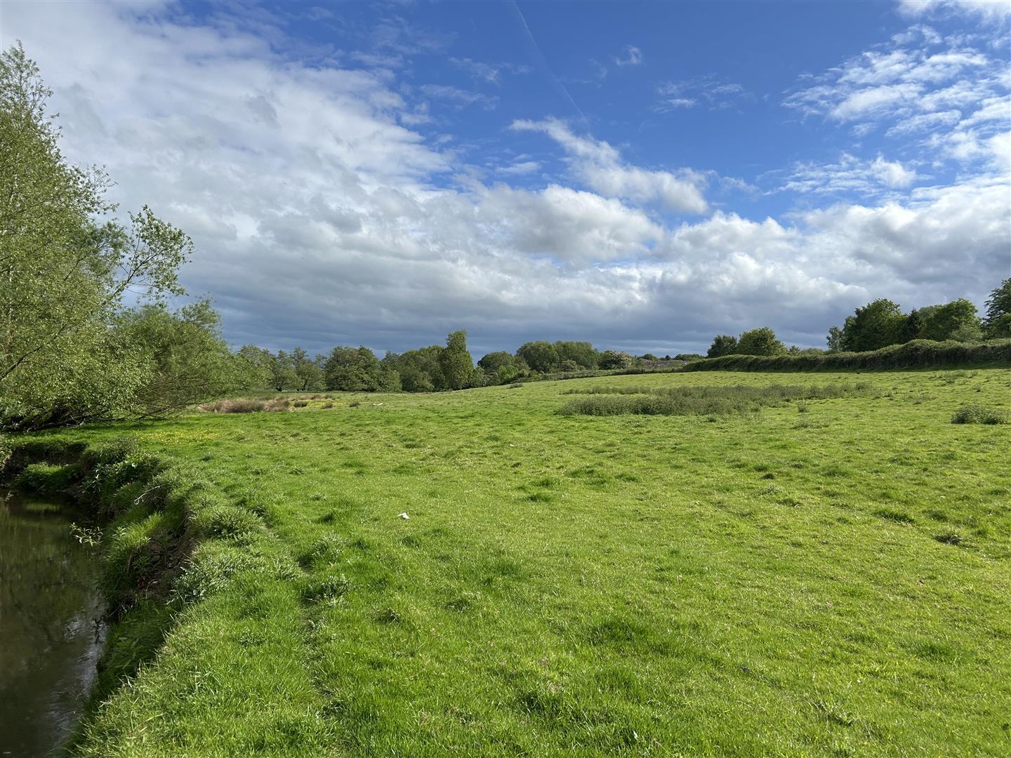 Property Image 54da2b54-1281-441f-b33e-71867757e468