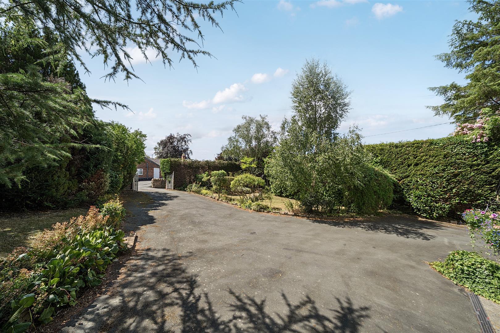 Property Image 55097608-d8ba-40af-9a54-cdf90b2f1ebd