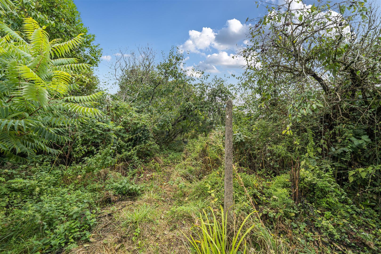 Property Image 5517403c-419b-4f98-9ce7-eb1e4774eaa7