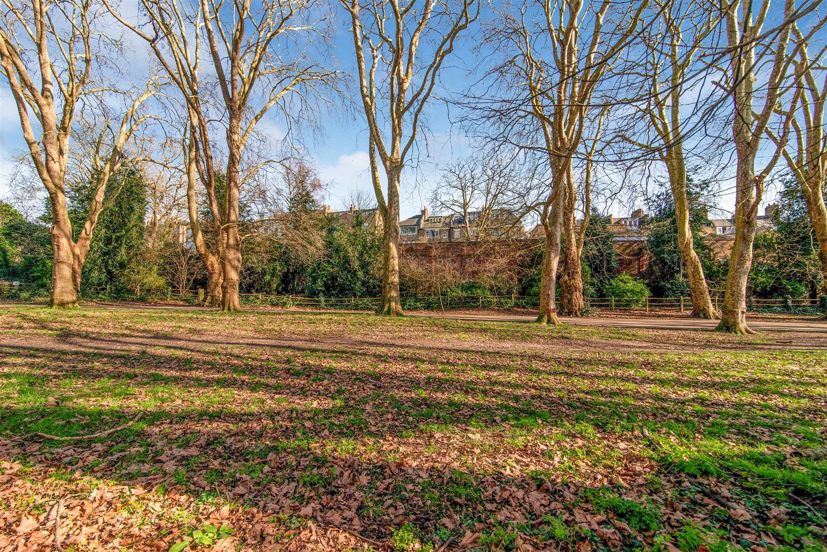 Property Image 552e47b6-b1e2-4ad1-bcb4-3f1d7e4f8bbc