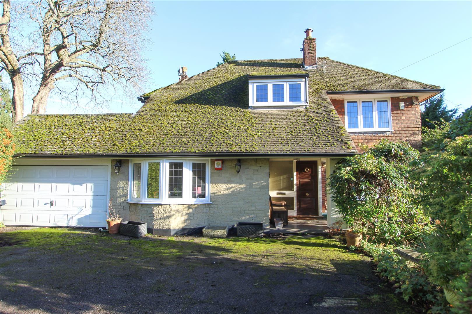 Property Image 552f3765-c912-4ef4-a9e2-d98d97bc9dc7