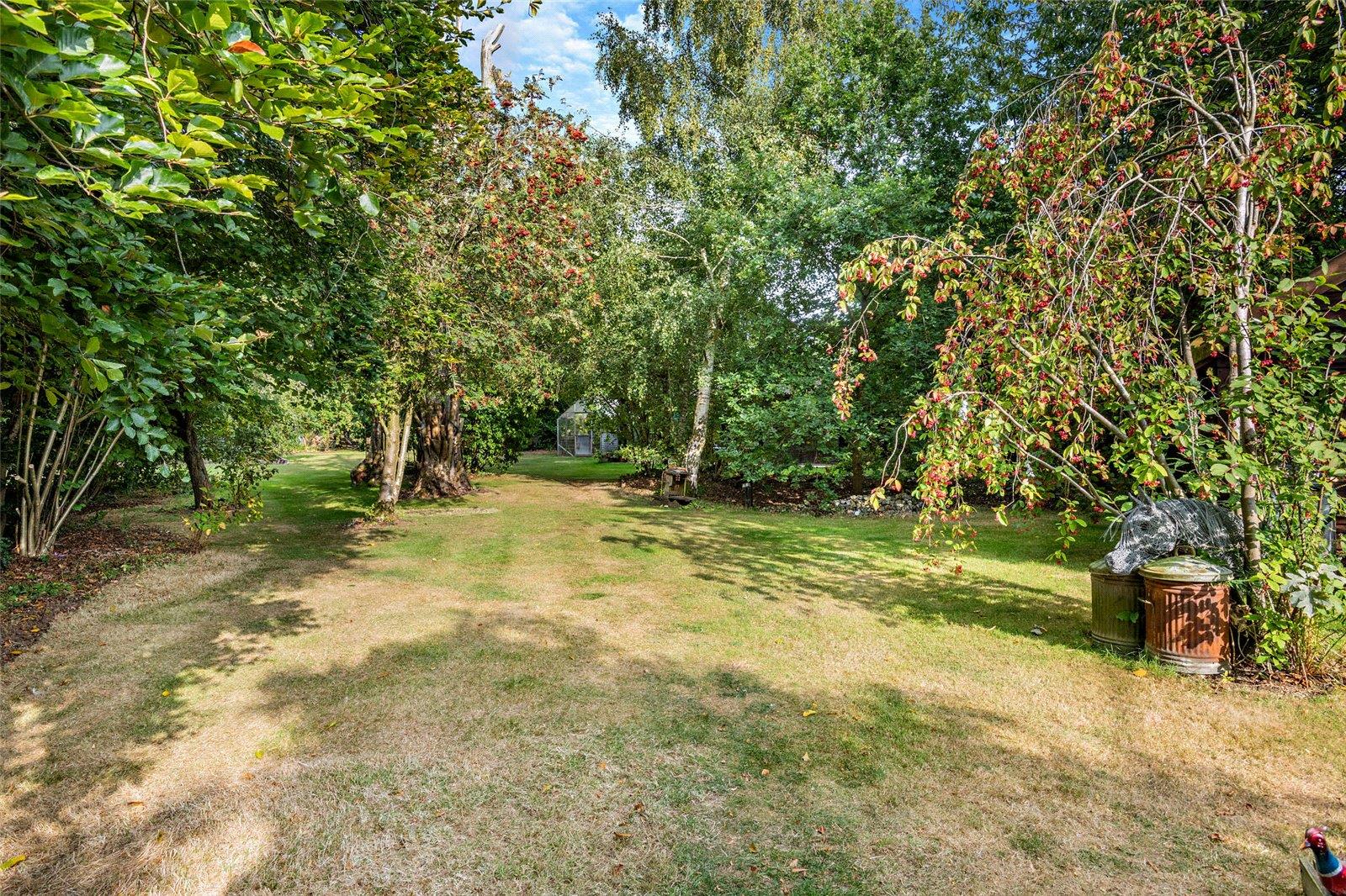 Property Image 5545bb7a-12ed-497a-a353-1337223d92fe