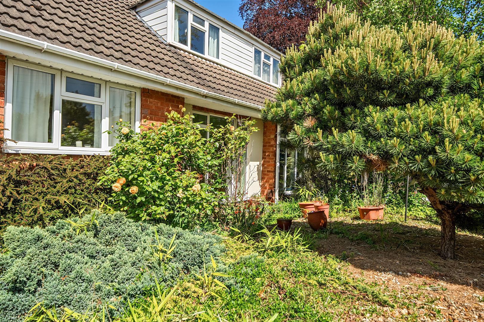 Property Image 5560ca51-a7ba-4cd7-9138-935073c60600