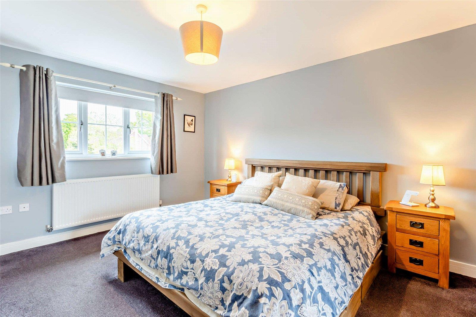 Property Image 556f3392-6645-4278-8394-7bf13af2f594