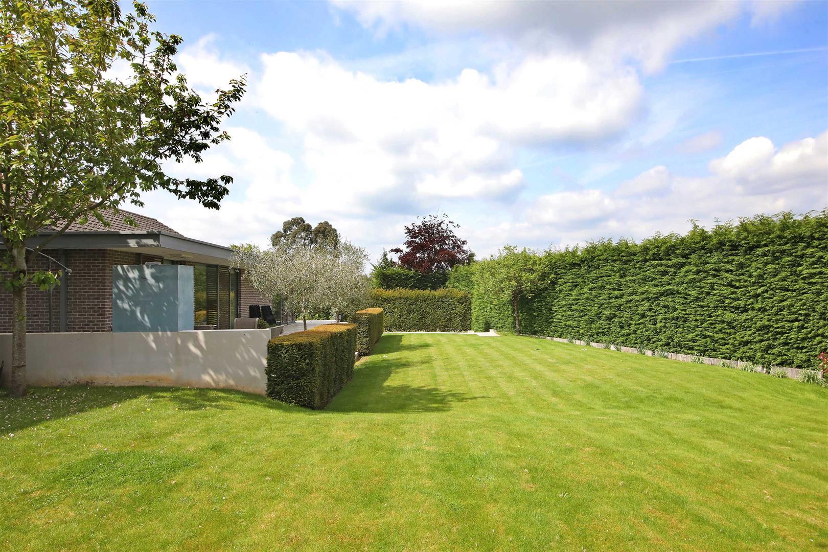 Property Image 556fe37d-4eea-42a0-904b-4a3432a6ea90