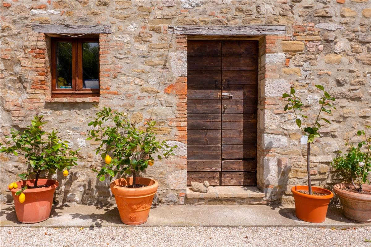 Property Image 55bbeef3-07f0-48f3-a732-eea60d3a62d1