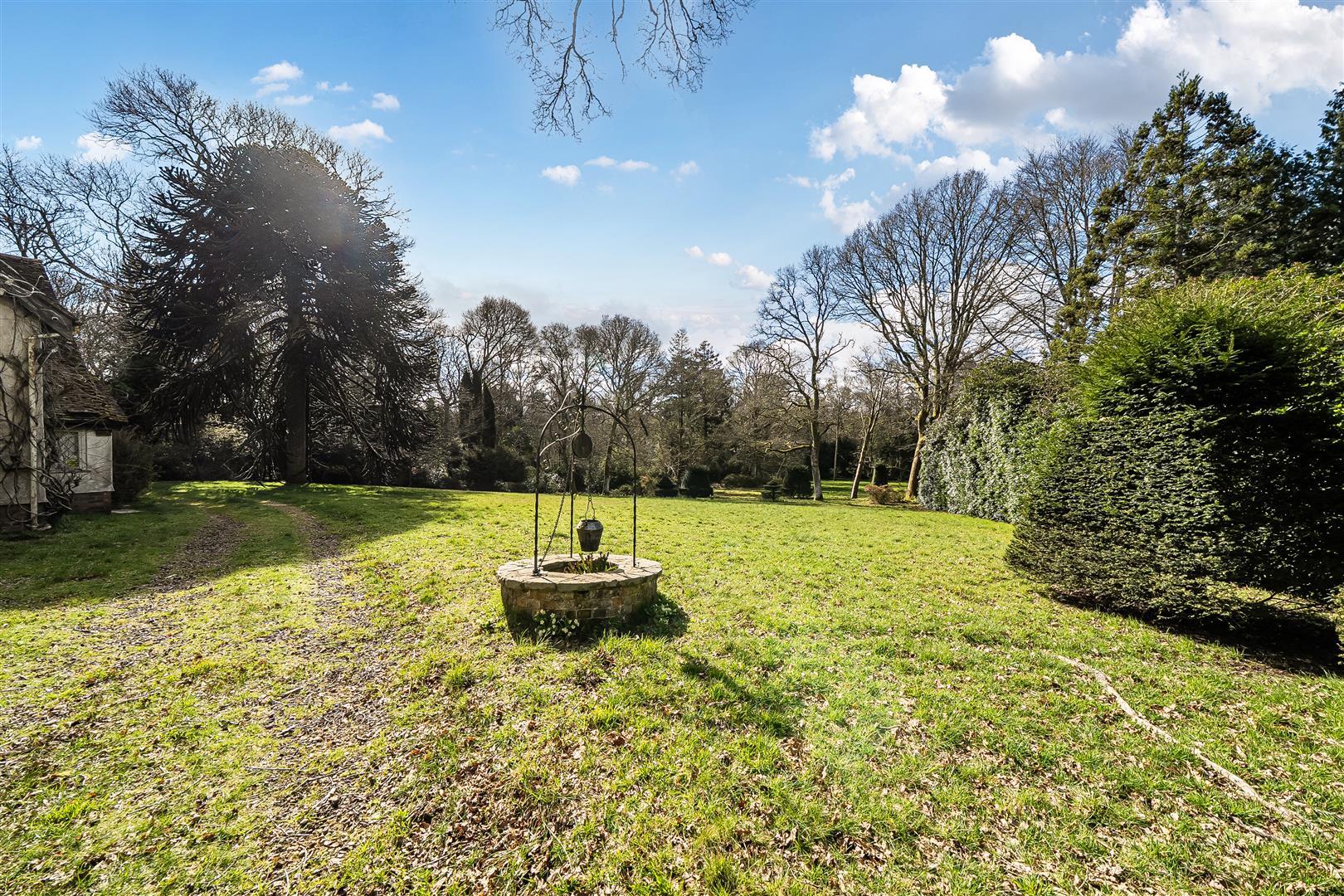 Property Image 561720a3-d95e-461c-ae5e-30b17fcf97b6