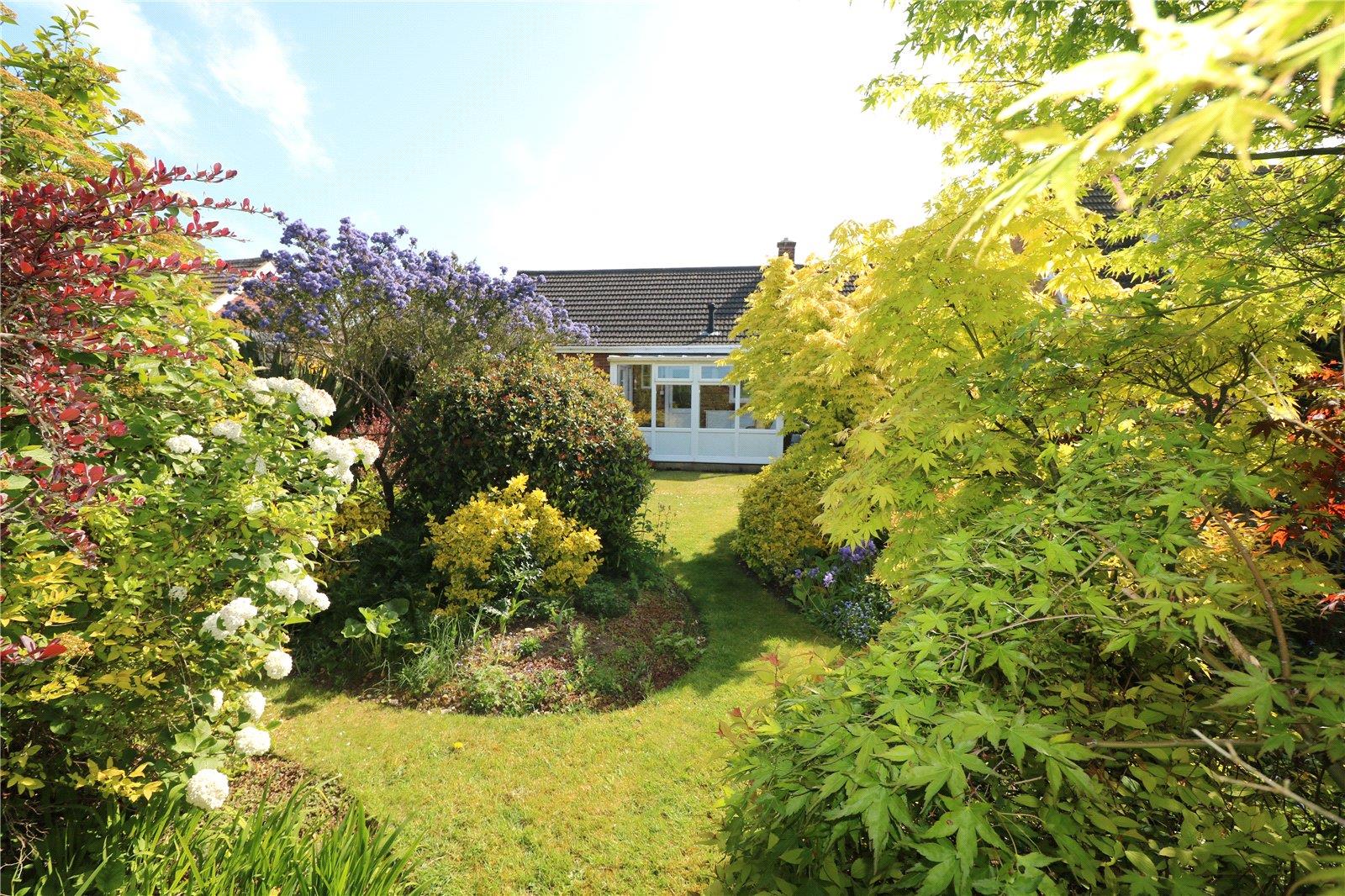 Property Image 56476703-bc38-4bc6-964c-ddadea9a1dd6