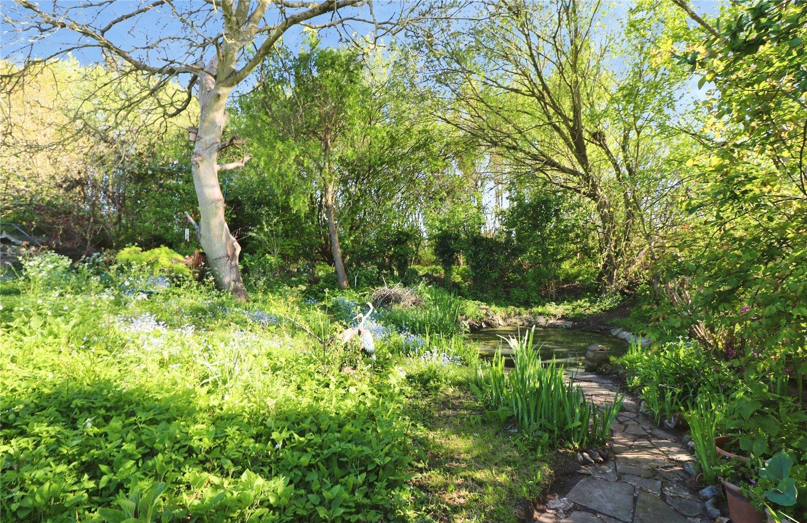 Property Image 5650b744-d785-474e-9693-d19b4fe0e436