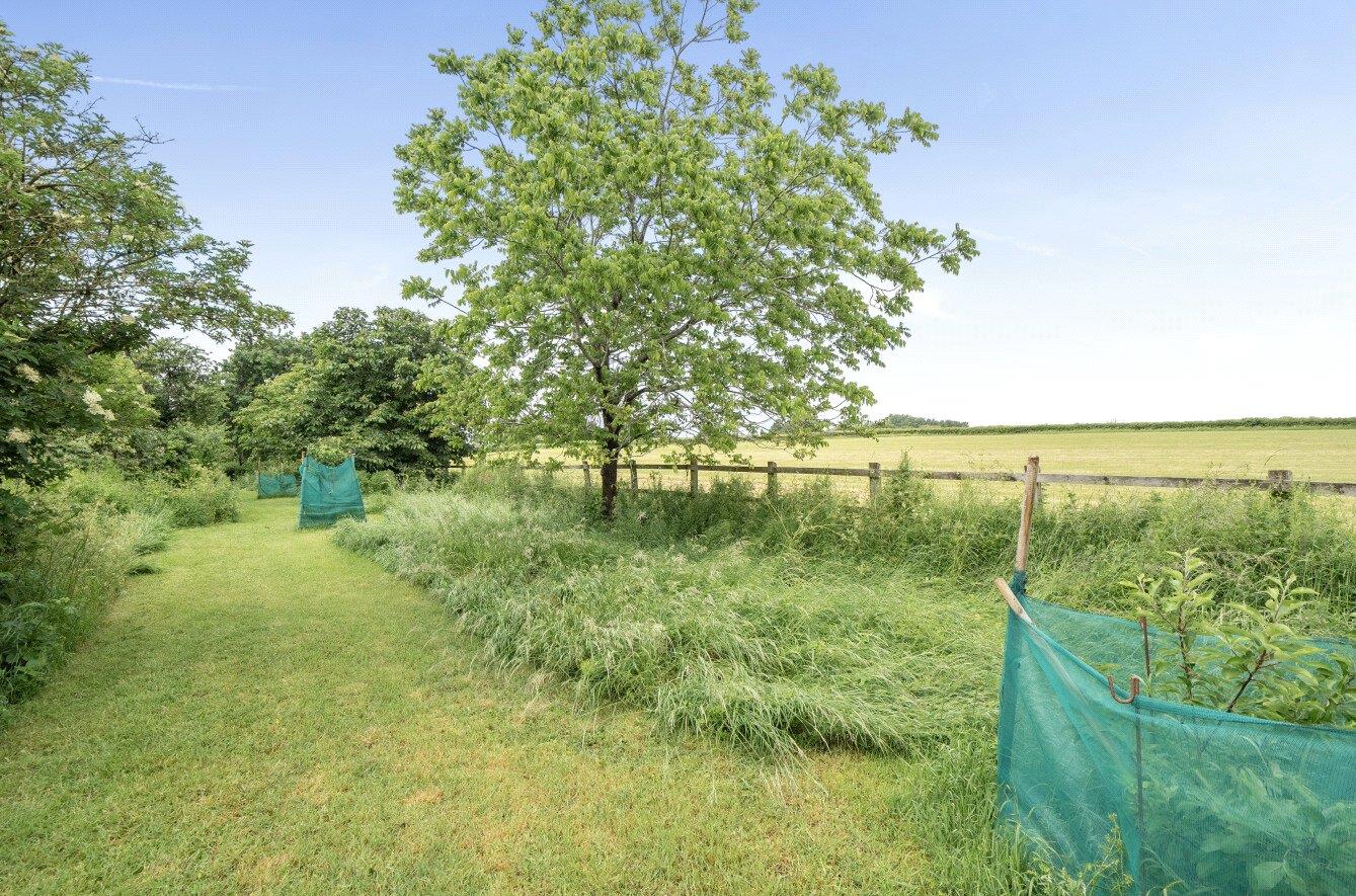 Property Image 565aa8c6-4b53-435e-a5cb-cc7780a83b15