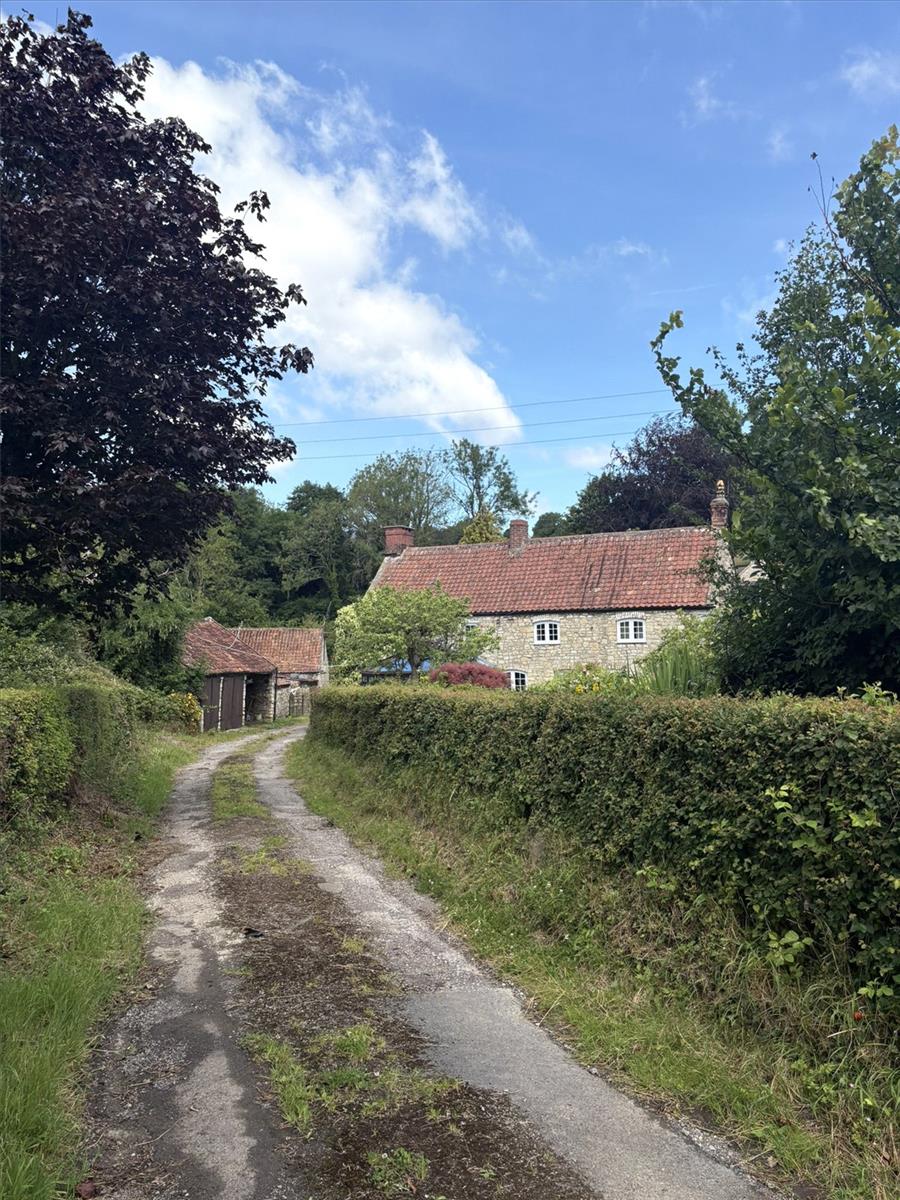 Image 28