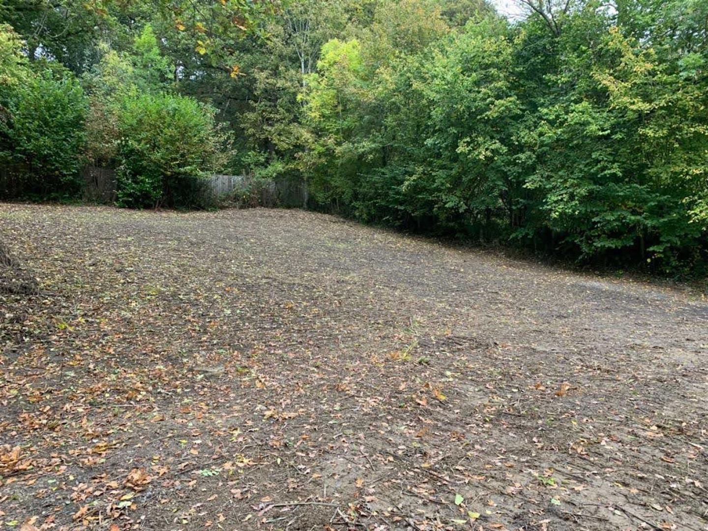 Property Image 568818fc-6c7e-4dce-91c0-9ec2a29937cf