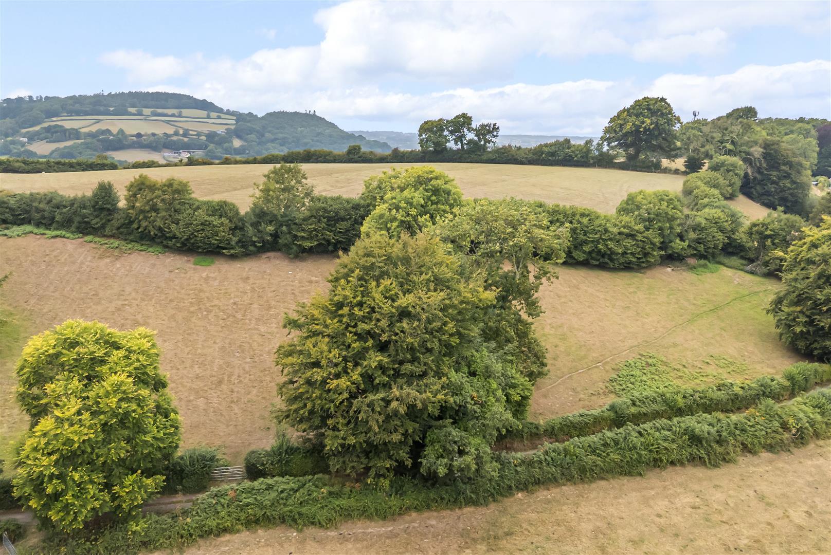 Property Image 56e8b62a-05a3-40b0-8d0d-2b27fccb1efb