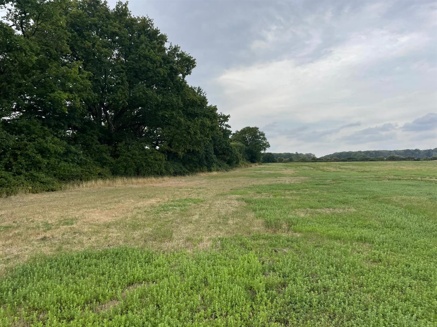 Property Image 571fecb5-3f9d-4b43-ba6d-2c797aeef9cd