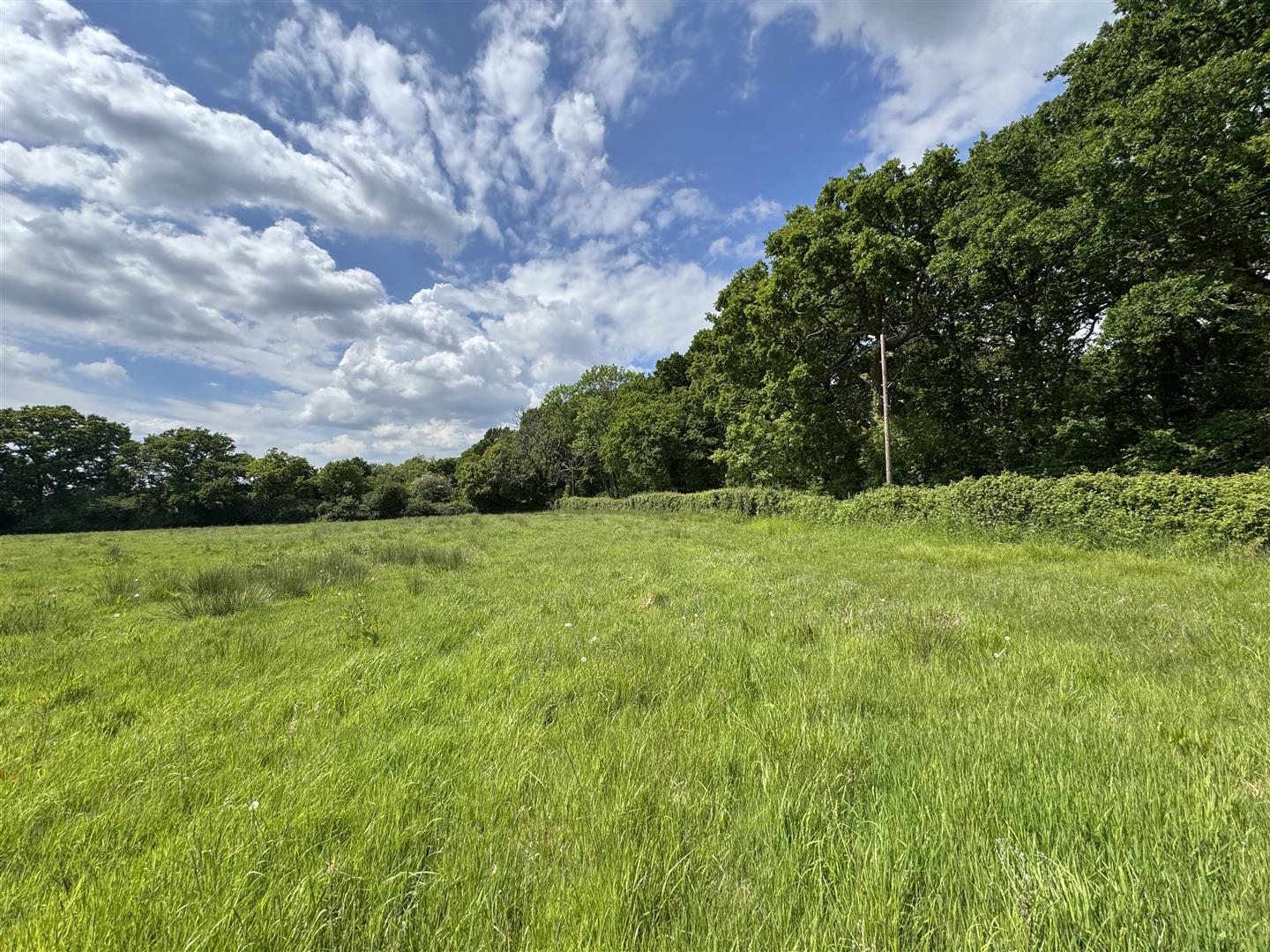 Property Image 573e9948-a6f8-432c-bcab-1c8b5a8d0a16
