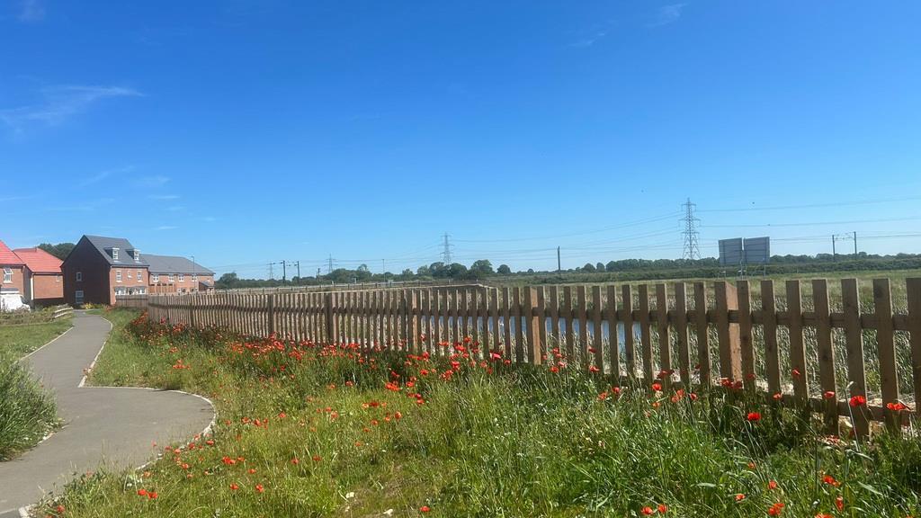 Property Image 578bf603-c3da-4b6a-899d-e6a8a00dd594