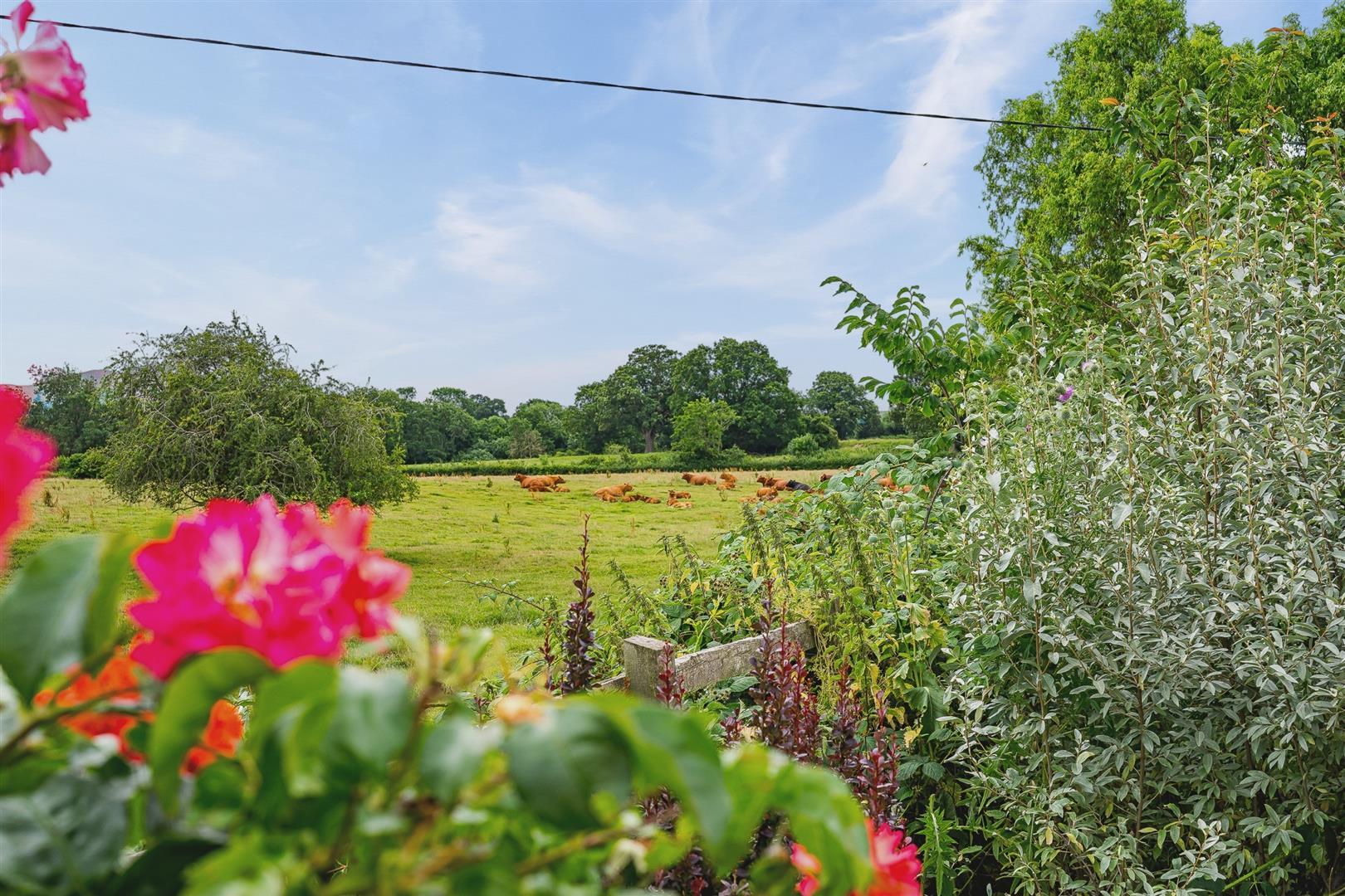 Property Image 57bc8bbc-1d0d-4301-b4fe-d07846685add