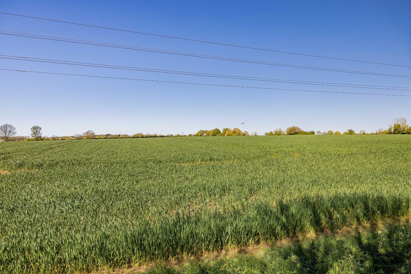 Property Image 57f331a9-3f05-4bc7-913e-4b28a9f68dd7