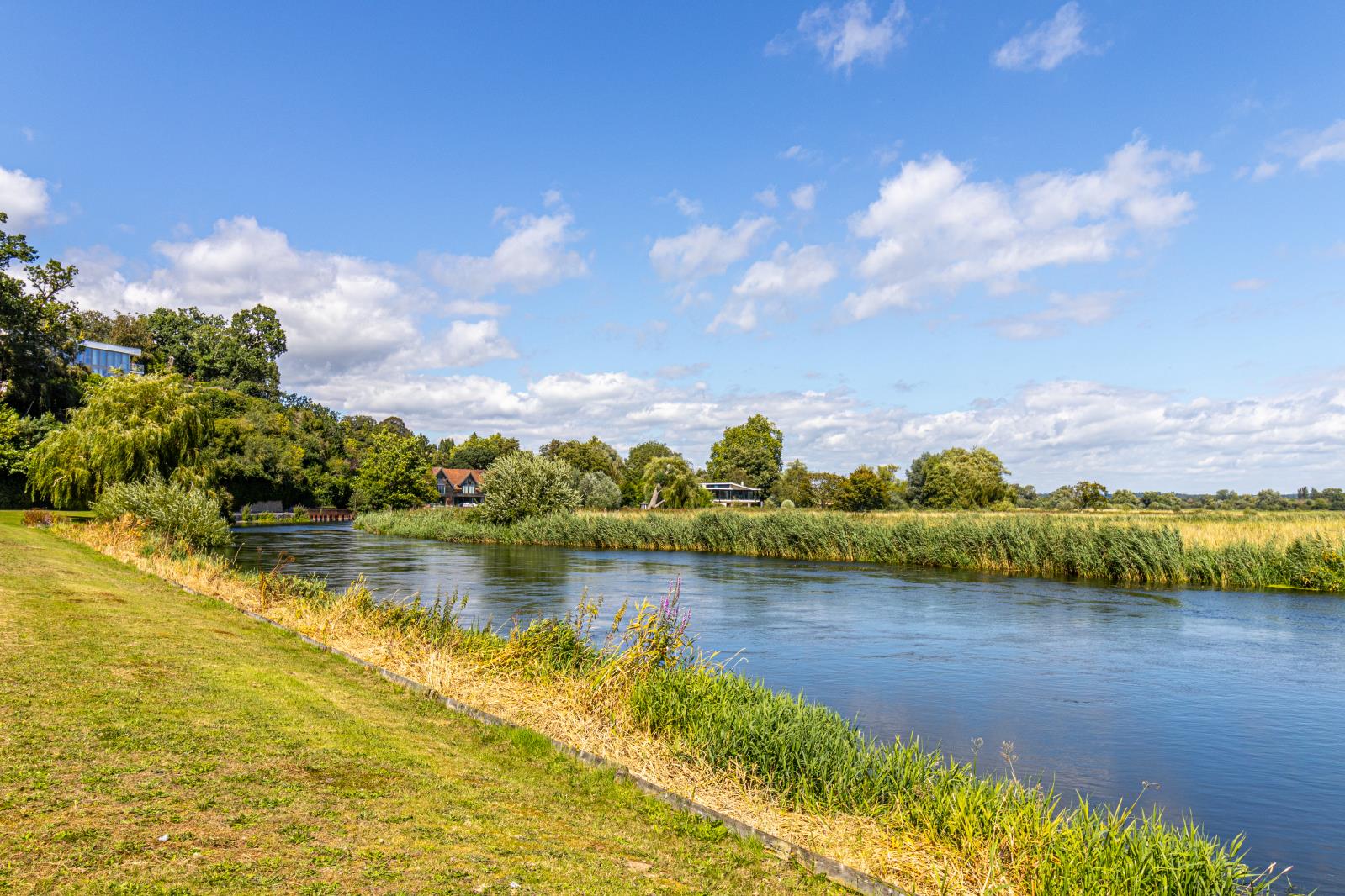 Property Image 5813fa63-b300-4707-a327-072eed74c951
