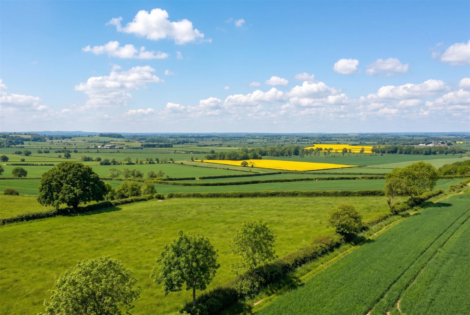 Property Image 582da612-e55e-4332-8ca3-e16792db8c22