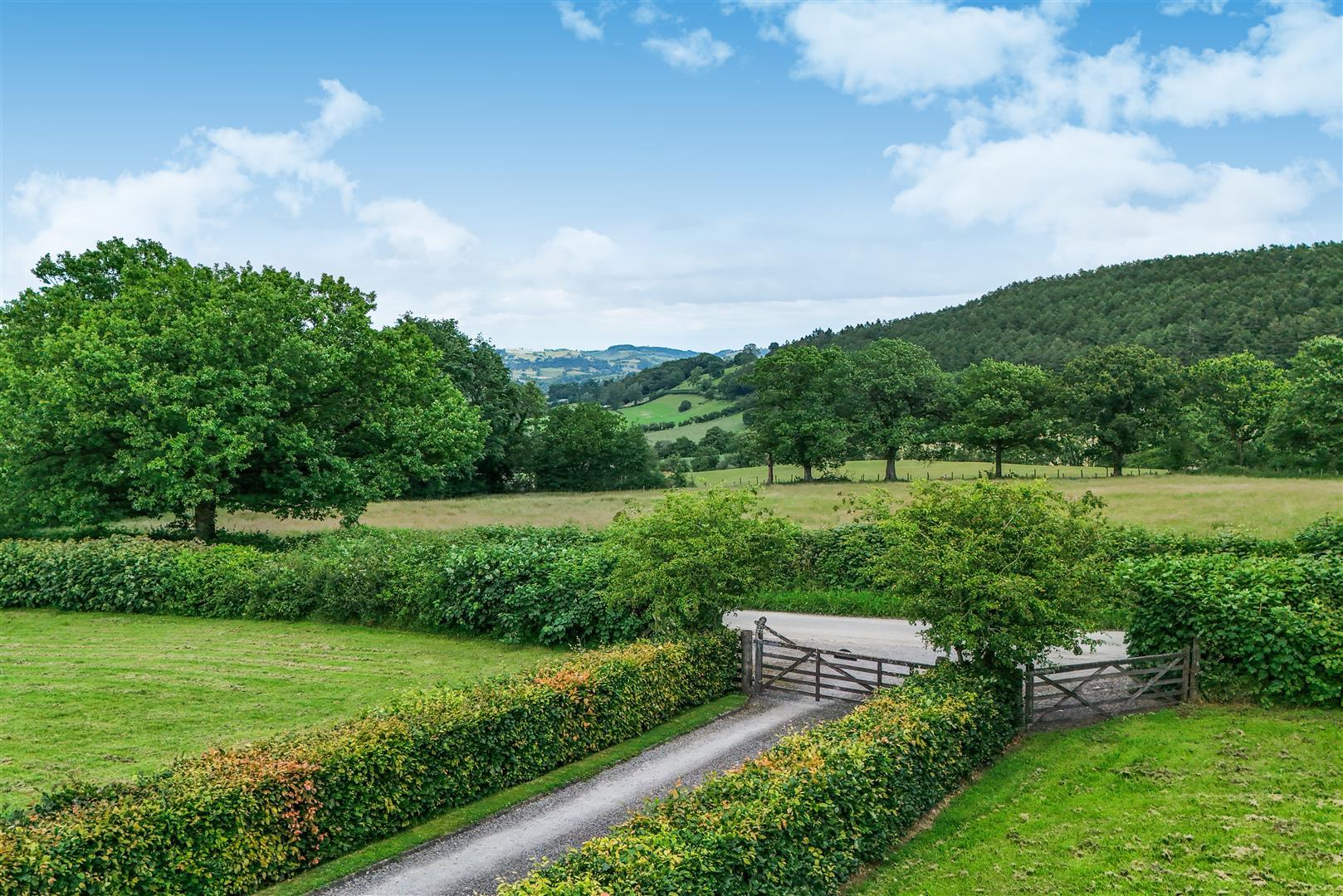 Property Image 58a34f31-c348-40f3-ae13-11a4a4ee3a28